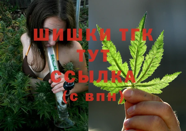прущие крисы Балахна