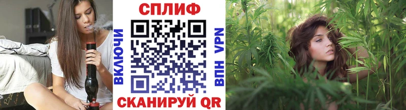 Бошки Шишки конопля  Петровск 